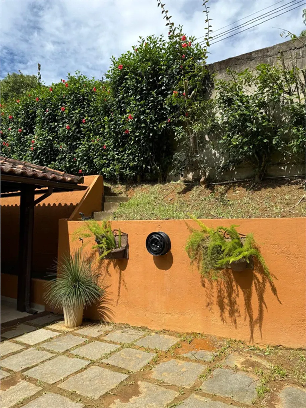 Rural com 3 quartos, 600 m² - Ipiabás - Ipiabas — foto 20