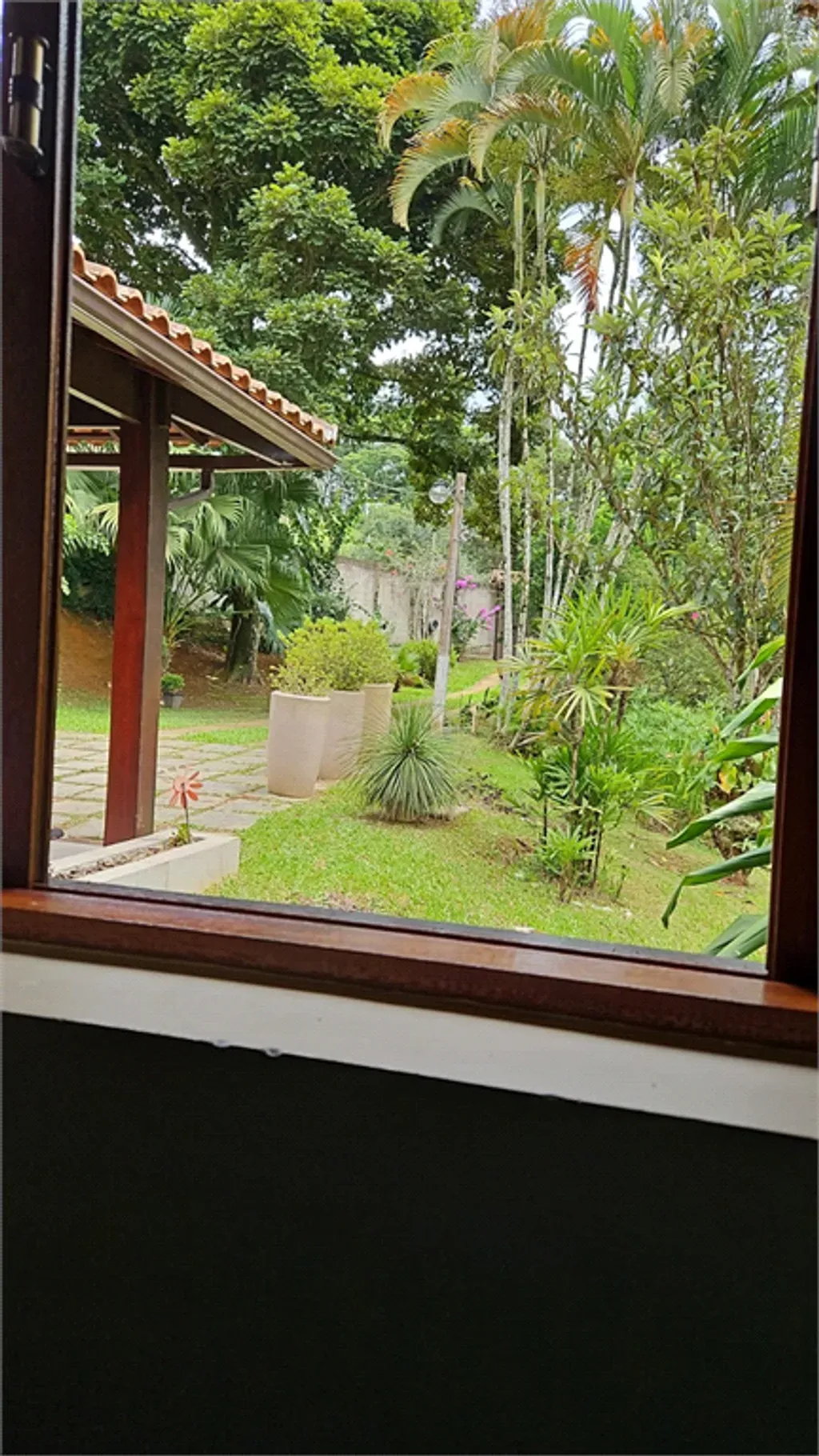 Rural com 3 quartos, 600 m² - Ipiabás - Ipiabas — foto 6