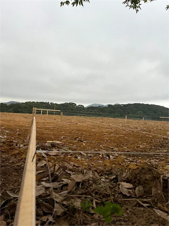 Terreno 5.430 m² - Centro - Piraí — foto 4