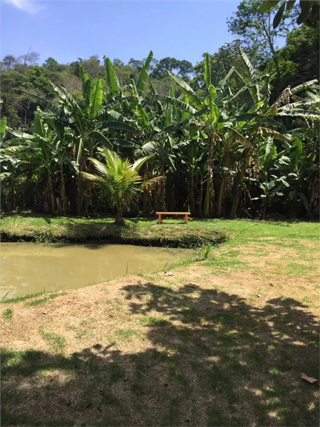 Rural com 2 quartos, 68 m² - Centro - Pinheiral — foto 4