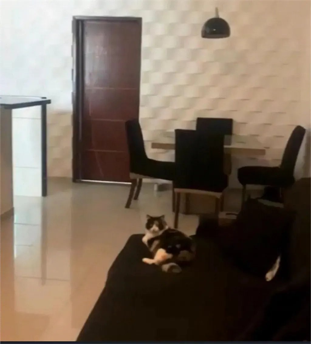 Casa com 5 quartos, 166,64 m² - Saudade - Barra Mansa — foto 2