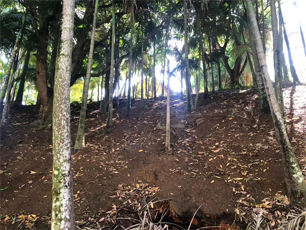 Rural com 4 quartos, 20.000 m² - Roseira - Barra do Piraí — foto 11
