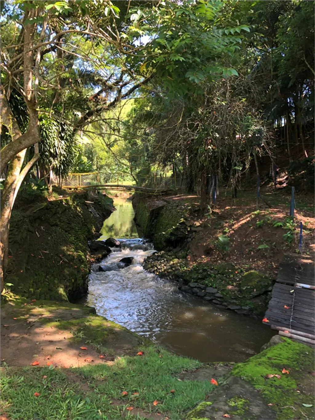 Rural com 4 quartos, 20.000 m² - Roseira - Barra do Piraí — foto 14
