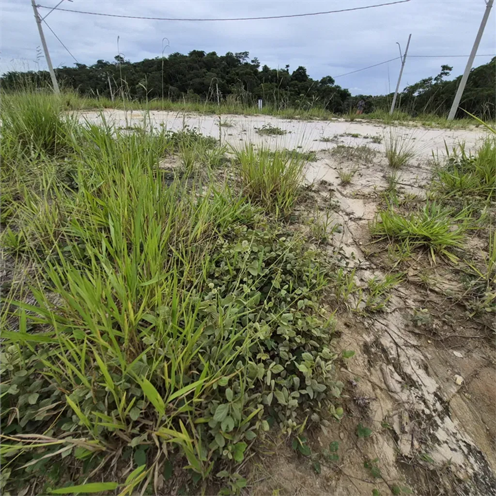 Terreno 288 m² - Casa de Pedra - Volta Redonda — foto 19