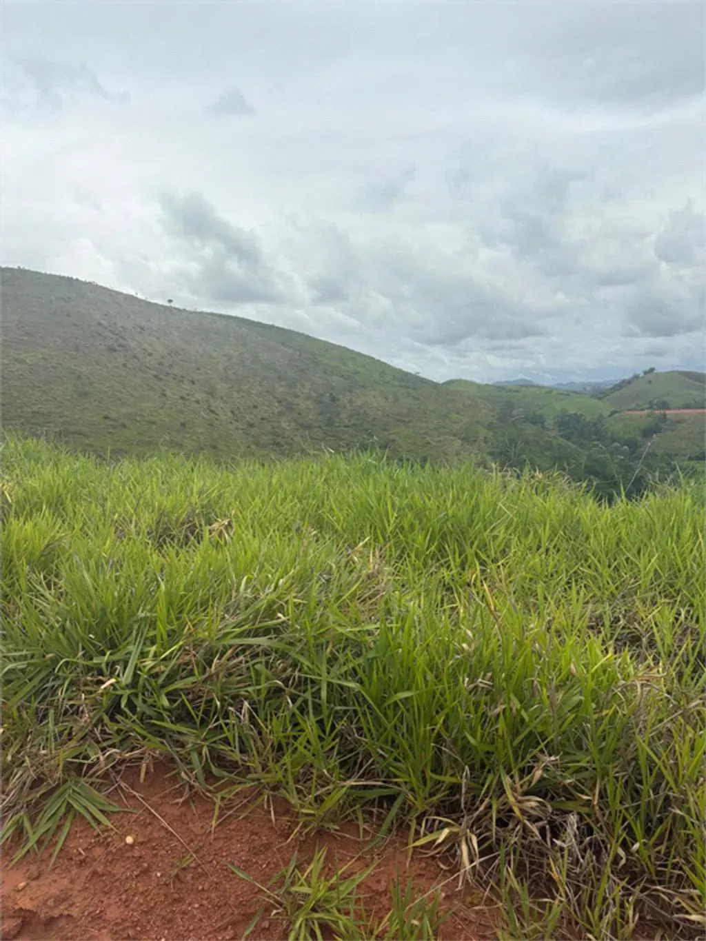 Terreno 381 m² - Bairro de Fátima (Califórnia da Barra) - Barra do Piraí — foto 9