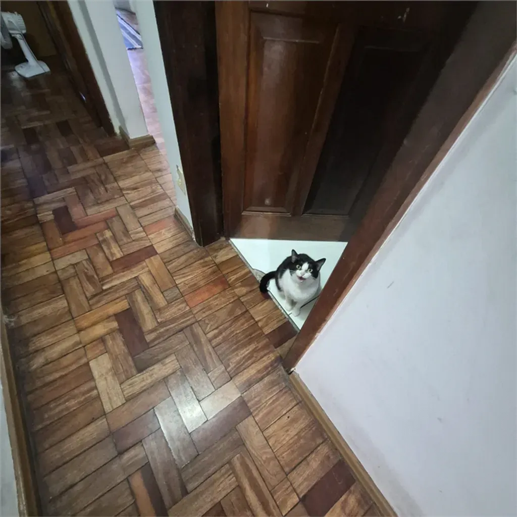 Casa com 2 quartos, 162 m² - Volta Grande - Volta Redonda — foto 11