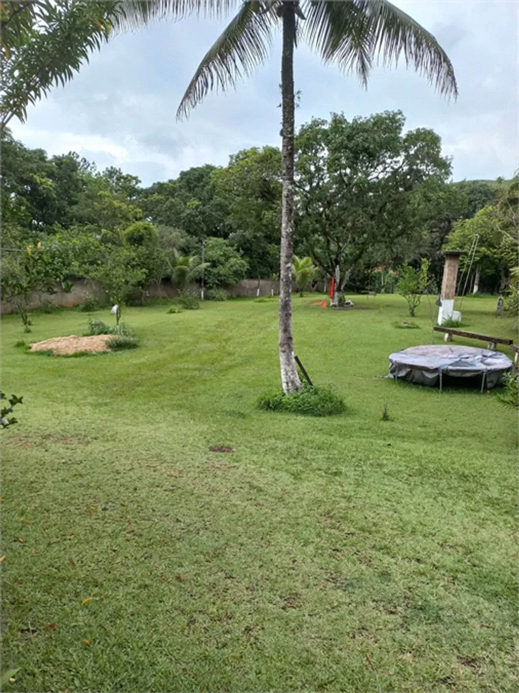 Rural com 5 quartos, 5.500 m² - Santa Terezinha (Califórnia da Barra) - Barra do Piraí — foto 1