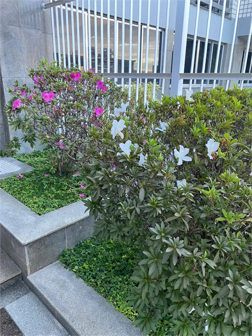 Apartamento com 3 quartos, 144 m² - São João - Volta Redonda — foto 3