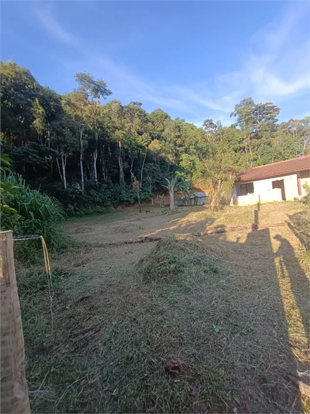 Casa com 1 quarto, 7.314 m² - Centro (Ipiabas) - Barra do Piraí — foto 18