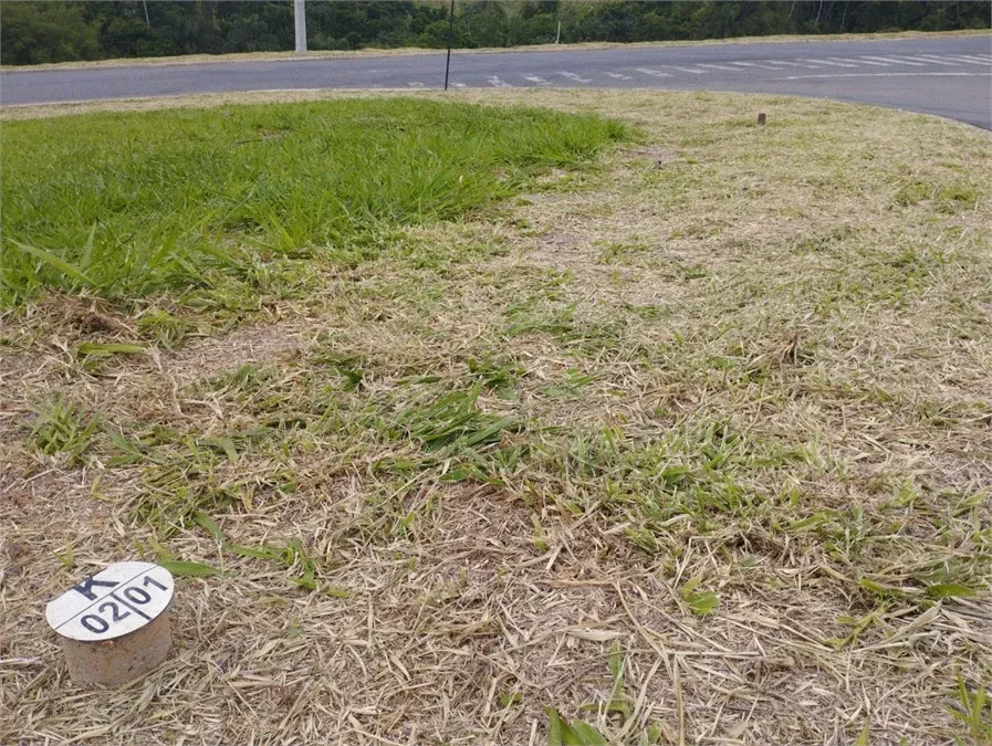 Terreno 332,75 m² - Casa de Pedra - Volta Redonda — foto 8